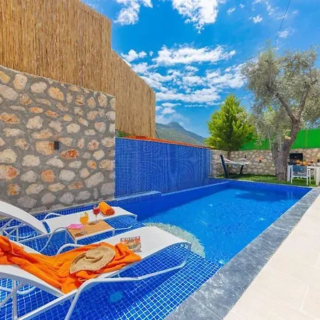 Montana Jakuzili Balayi Tatil Villasi Villa *
